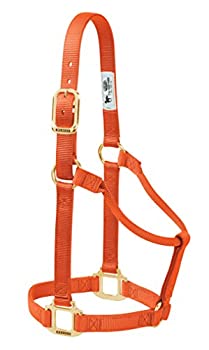 【中古】【輸入品・未使用】(Average Horse%ｶﾝﾏ% Orange) - Weaver Leather Non-Adjustable Halter