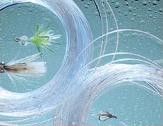 【中古】【インポート品・未当て嵌める】ロイヤルWulff３角形テーパ塩水Monoせつ然たるFly Line