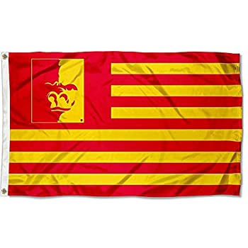 【中古】【輸入品・未使用】Pitt状態Gorillas Stars and Stripes Nation Collegeフラグ｜ムジカ＆フェリーチェ店