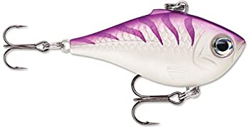 【中古】【輸入品・未使用】Rapala Fishing Lure - ULRPR04PUTU - UL Ultra Light Rippin Rap 04 Purple Tiger UV