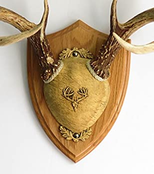 【中古】【輸入品・未使用】TTW究極Antlerマウントキット???Mediumオーク