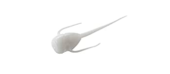 【中古】【輸入品・未使用】13 釣りパラライザー - パンフィッシュプラスチック - ホワイト No. 1-6個パック。｜ムジカ＆フェリーチェ店