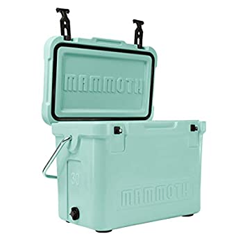 【中古】【インポート品・未当て嵌める】Mammoth Coolers クルーザーMC30-572冷房装置、シーフォームグリーン 141［並行輸入］