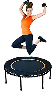 【中古】【輸入品・未使用】LEAPS & REBOUNDS: リバウンダー ? フィットネストレーニング ? フルサイズ保護マット ? 関節への影響を最小限に ? 高カロリー燃焼 ? 有酸素運動|ムジカ&フェリーチェ店
