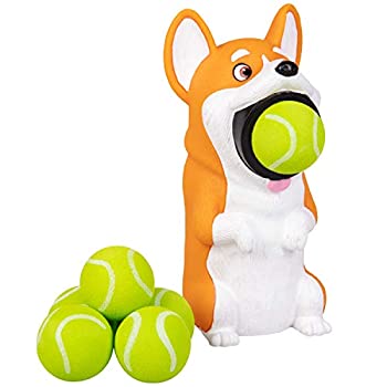 【中古】【インポート品・未当て嵌める】Hog Wild Corgi 犬 ポッパー手あそび - 20フートまでの質問用紙どんぶり鉢 - 6どんぶり鉢属する - 客体馬齢4歳以上。