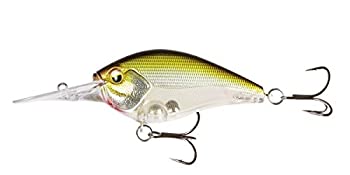 【中古】【輸入品・未使用】Cliff Banger 15フィート オリーブクラッシュ