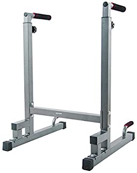 【中古】【輸入品・未使用】Sporzon! 多機能ディップスタンド ディップステーション ディップバー 構造改善設計 耐荷重500ポンド グレー