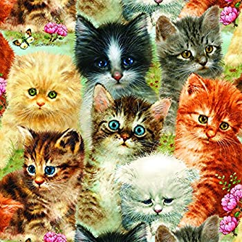 【中古】【輸入品・未使用】A Pile of Kittens - 1000 Piece Jigsaw Puzzle