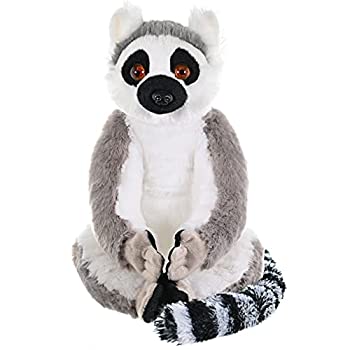 【中古】【輸入品・未使用】CK RING TAILED LEMUR 12｜ムジカ＆フェリーチェ店