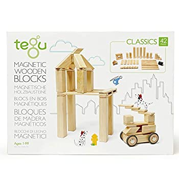 【中古】【インポート品・未当て嵌める】Tegu (テグ) 磁石木製立ちはだかる書き割り 42天下太平 42P-NAT-306T