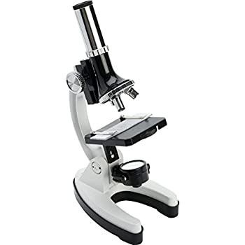【中古】【インポート品・未当て嵌める】Celestron ちびっ子用マイクロスコープ一揃いの道具 44123