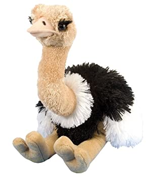 【中古】【輸入品・未使用】Wild Republic Cuddlekin Ostrich 12' Plush [並行輸入品]｜ムジカ＆フェリーチェ店