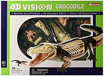 【中古】【輸入品・未使用】Famemaster 4D Vision Crocodile Anatomy Model [並行輸入品]