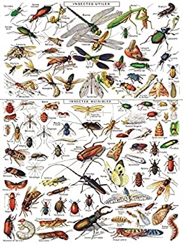 【中古】【輸入品・未使用】New York Puzzle Company - Vintage Images Insects Insectes - 1000 Piece Jigsaw Puzzle