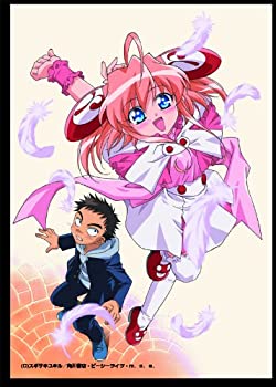 【中古-非常に良い】『りぜるまいん』DVD BOX1(初回限定復刻版)