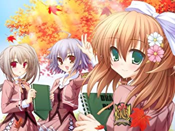 【未使用】【中古】エターナル・エチュード Canvas4(限定版) - PSP｜ムジカ＆フェリーチェ店