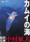 【未使用】【中古】カムイの海 [DVD]