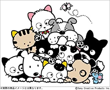【中古】うちのタマ知りませんか? 20周年プレミアムDVD-BOX｜ムジカ＆フェリーチェ店