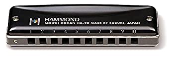 【未使用】【中古】HAMMOND ハモンド 10穴ハーモニカ HAMMOND HA-20 E♭調｜ムジカ＆フェリーチェ店