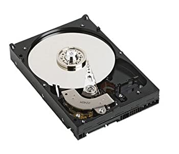 【中古-非常に良い】【輸入･日本仕様】WESTERN DIGITAL 3.5インチ内蔵HDD 1TB Serial-ATA 7200rpm 32MB WD1001FALS｜ムジカ＆フェリーチェ店