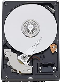 【中古-非常に良い】【輸入･日本仕様】WESTERN DIGITAL 3.5インチ内蔵HDD 1TB IntelliSeek 32MB SATA 3.5inch(GP333) WD10EADS｜ムジカ＆フェリーチェ店 24,118円