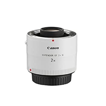 【未当て嵌める】Canon エクステンダー EF2X III