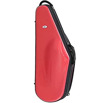 【中古-非常に良い】BAGS テナーサックス 用 ファイバーケース EFTS RED