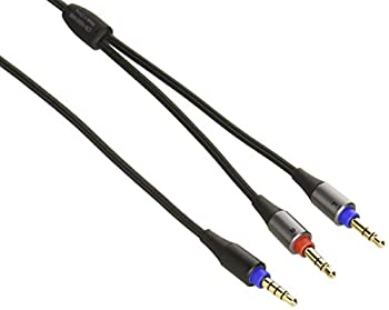 【中古-非常に良い】JVC リケーブル バランス接続対応 CN-HS01MB｜ムジカ＆フェリーチェ店