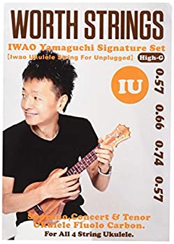 【未使用】【中古】Worth Strings IU ウクレレ弦 IWAO Unplugged-High-G 63インチ フロロカーボン クリア