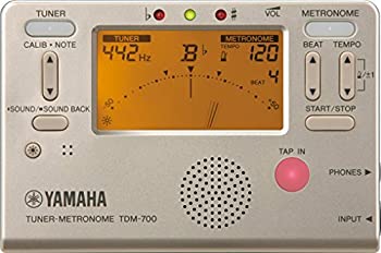 Toshiba SD-P1600 Portable DVD Player (7
