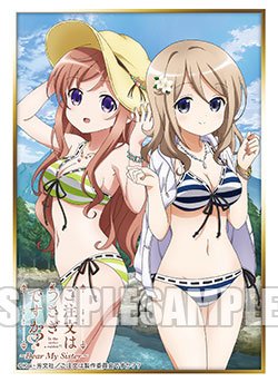 【未使用】【中古】ブシロード スリーブ コレクションエクストラ ご注文はうさぎですか？？ ～Dear My Sister～『青山ブルーマウンテン＆モカ』