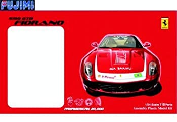 【未使用】【中古】フジミ模型 1/24 RS-20000 599GTB PANAMERICAN BRAZIL