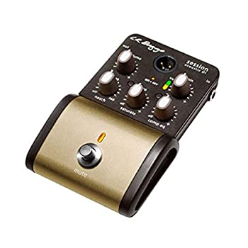【中古】L.R.Baggs Session Acoustic D.I. アコースティックギター用 プリアンプ&ダイレクトボックス ACOUSTIC GUITAR PREAMP LRバッグス|ムジカ&フェリーチェ店