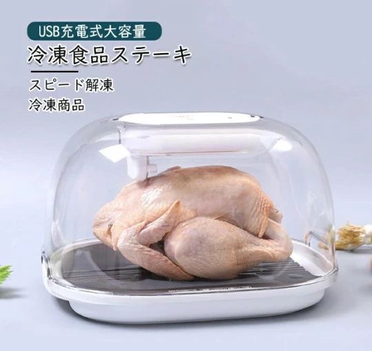 冷凍食品ステーキ 解凍トレイ デフロスター USB充電式大容量 家庭用 解凍プレート 解凍皿 急速 解凍 調理器具 スピード解凍 肉 魚 冷凍商品｜ムジカ