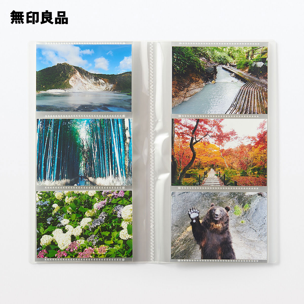 楽天市場】【無印良品 公式】ポリプロピレンアルバム L判