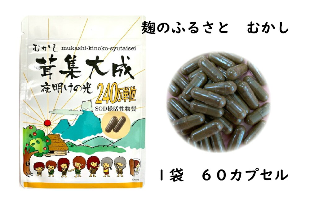 【 カバノアナタケ 】むかし茸集大成夜明けの光　醗酵酵素処理