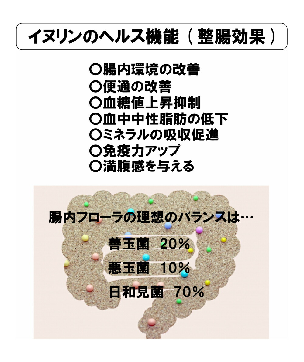 イヌリン お なら イヌリンを多く含む食品を食べながらダイエット イヌリンとはいったい何 Docstest Mcna Net