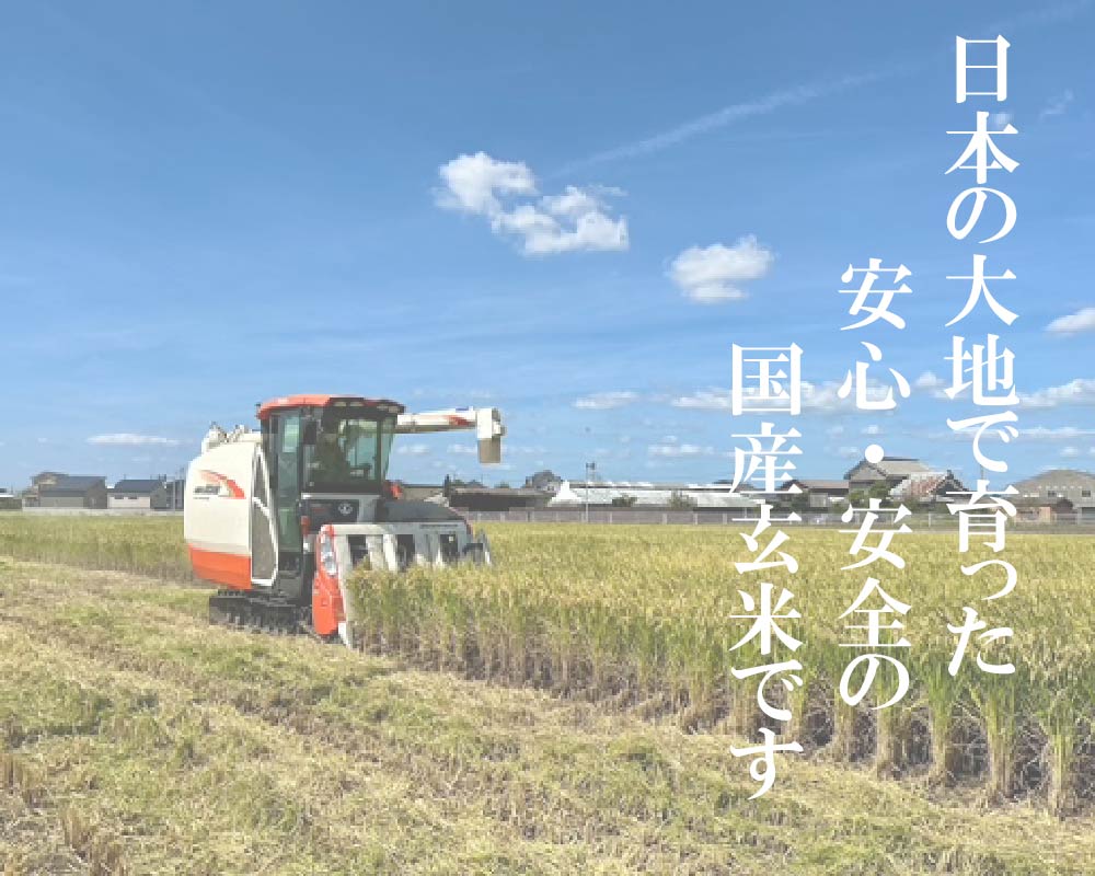 プレミアム若玄米1kg(500g×2袋) 若玄米 玄米1kg 食物繊維 野菜不足解消