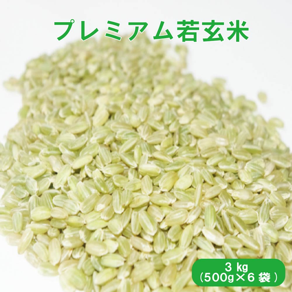 プレミアム若玄米3kg(500g×6袋) 若玄米　玄米３ｋｇ　食物繊維 野菜不足解消 健康維持 白米モード炊飯 ダイエット 若 玄米 　蒼の玄米 青玄米 ヘルシー 送料無料 国産 ダイエット食
