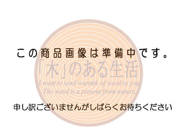 柿渋気どらずにえの具「柿心」 せつ然たる(柿渋色) 内・飾りつけ用 18L 【smtb-s】