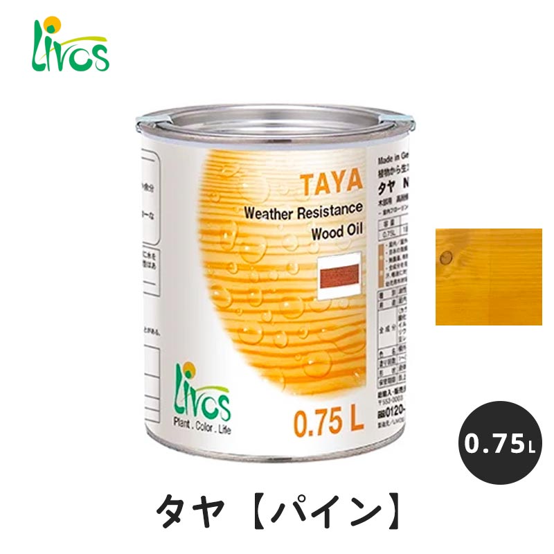 百貨店SALE 2026.06