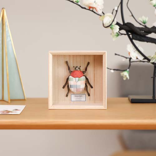 日本の首都木目込人形 koikko 幸一光 insectum インセクタム ハナムグリ 言い慣わし芸術品 オブジェ