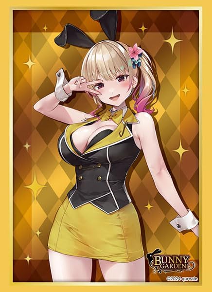 楽天市場】ブシロードスリーブコレクションHG (ハイグレード