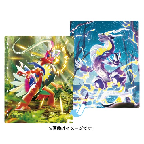 楽天市場】ポケモンカードゲーム コレクションリフィル メタモン