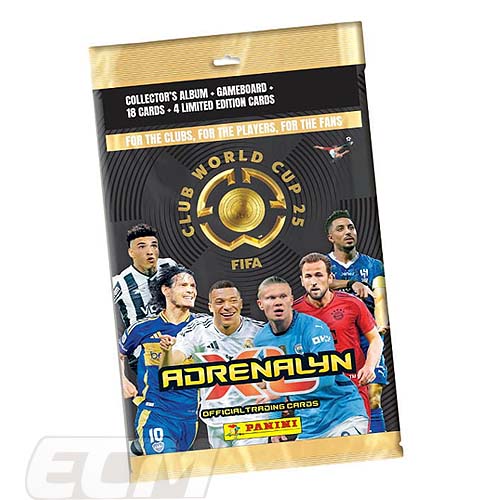 2010 FIFA WORLD CUP PANINI カード　セット 2010 FIFA WORLD CUP PANINI カード セット 2010 Panini FIFA South