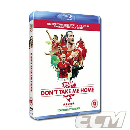 ウェールズ代表 ユーロ16