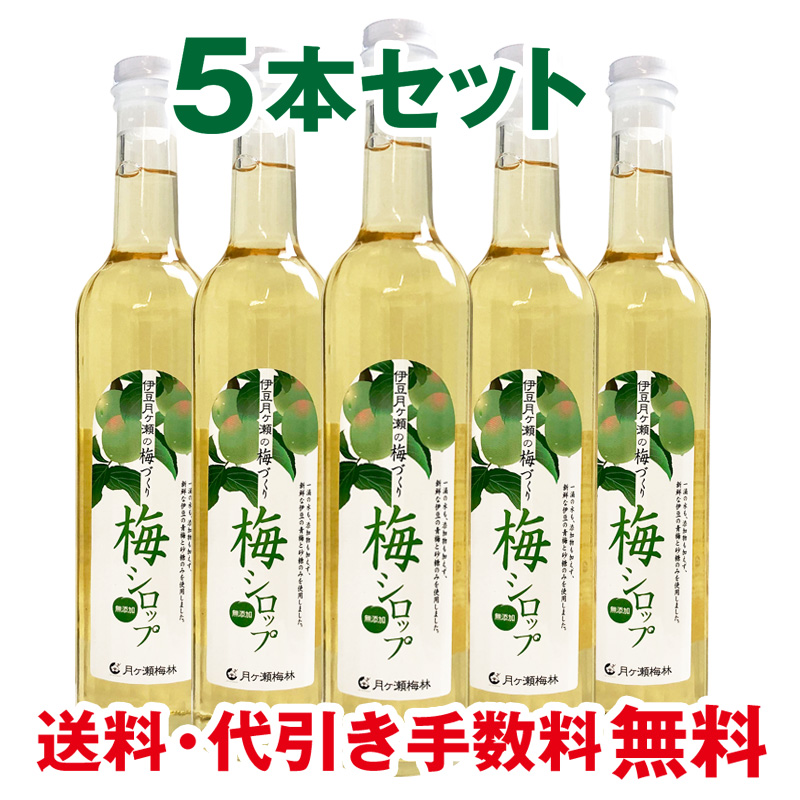 無添加梅シロップ　300ml×6本　伊豆　月ヶ瀬 nkj005-2025.jpg