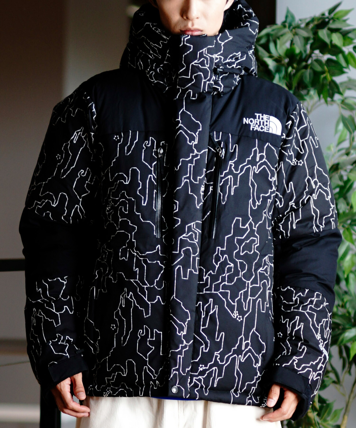 楽天市場】THE NORTH FACE ザ・ノース・フェイス アウター