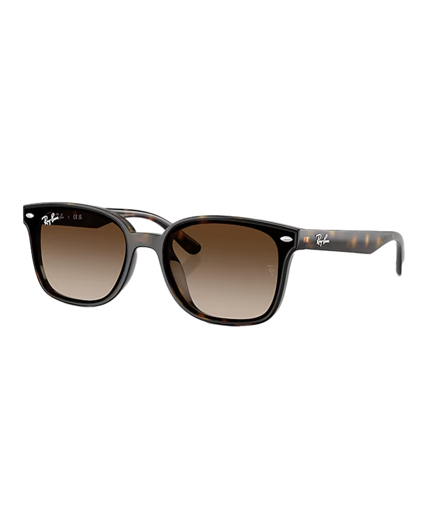 Ray-Ban レイバン 黒眼鏡 UV取りすてる 紫外線打つ手 0RB4461D710/13