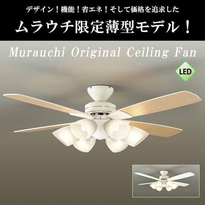 楽天市場】レビューキャンペーン目玉品◎当日発送品◎DAIKO